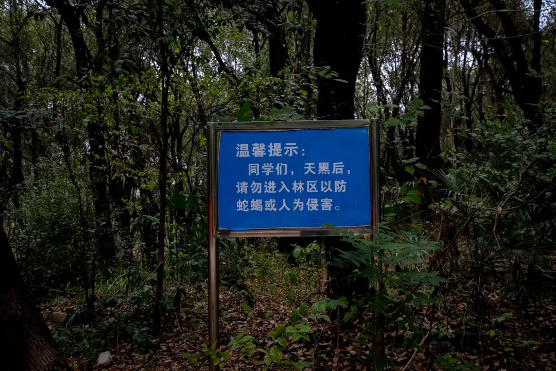 DƬ